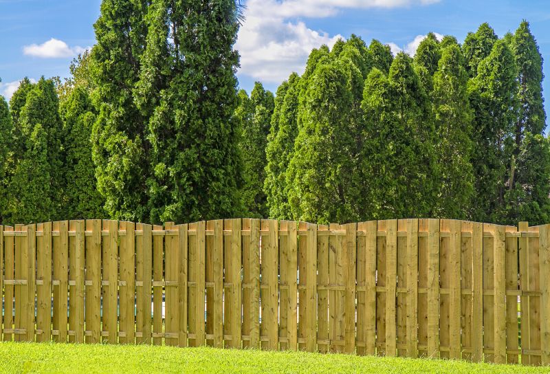 Wood Privacy Fence