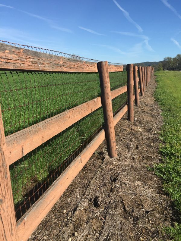 Ranch Fence Repair